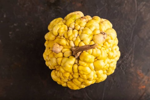 Decorative orange Pumpkin with tumors on black concrete background, top view, flat lay, close up,