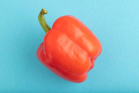 Red pepper on blue pastel background. Top view, flat lay, copy space. healthy food, vegetable,