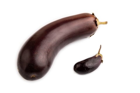 Two Eggplants big and small isolated on white background, side view, close up, minimalism