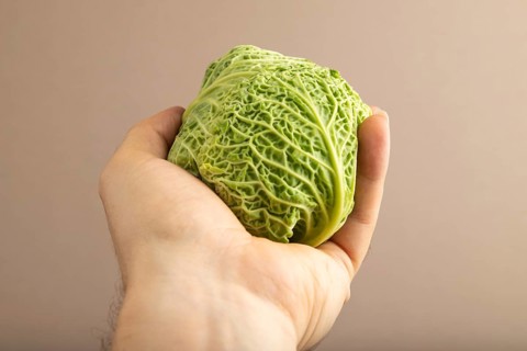 Green lettuce with hand on beige pastel paper background. Side view, copy space, flat lay. healthy