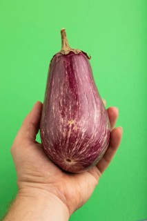 Hand holding Purple eggplant with white stripes on green pastel background. Top view, flat lay,