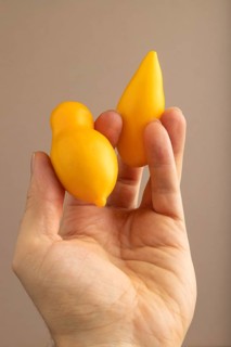 Yellow tomatoes with hand on beige pastel paper background. Side view, copy space. healthy food,