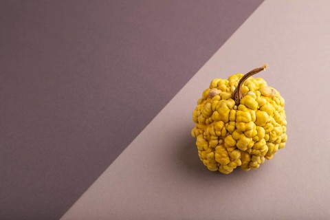 Decorative orange Pumpkin with tumors on beige and gray pastel paper background, side view, copy