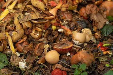 Compost pile made of organic food, leaves, vegetable and fruit Waste mix, Zero waste and Eco