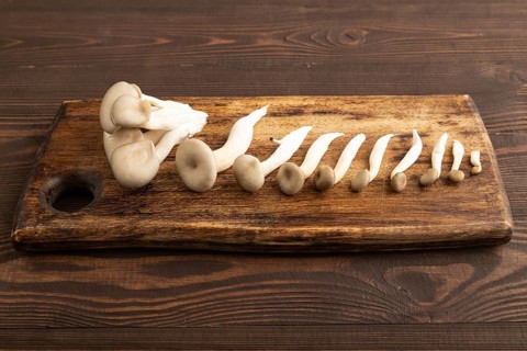 Raw Oyster mushroom, Pleurotus ostreatus on cutting board on brown wooden background. Side view,