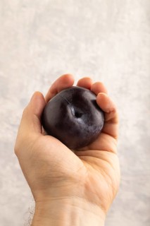 Purple Plum Cut in half with hand on gray concrete background. Side view, close up. healthy food,
