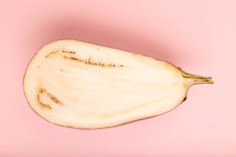 Purple Cutted eggplant with white stripes on pink pastel background. Top view, flat lay, copy space