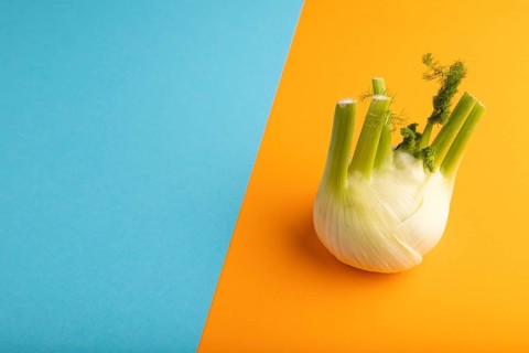 Fresh Fennel bulb on blue and orange pastel paper background, side view, copy space, minimalism