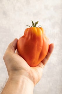 Red Heart Shape tomato with hand on gray concrete background. Top view, flat lay, close up. healthy