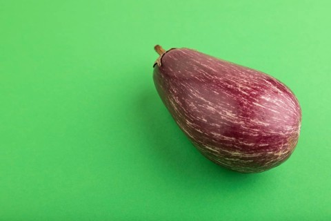 Purple eggplant with white stripes on green pastel background. Side view, copy space. Tropical,
