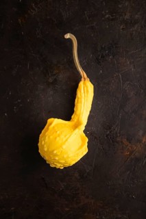 Decorative orange Pumpkin on black concrete background, top view, flat lay, copy space, minimalism,