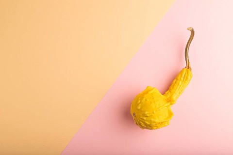 Decorative orange Pumpkin on pink and orange pastel paper background, top view, flat lay, copy