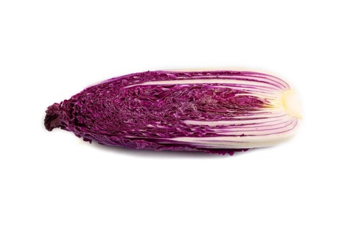 Purple Chinese cabbage isolated on white background, side view, close up, minimalism