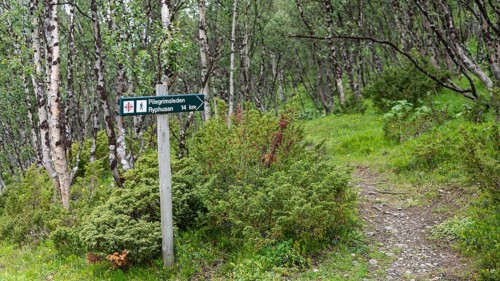 Signpost with the inscription Pilgrimsleden Ryphusan, Kongevegen or Kingsroad, Pilgrimsleden