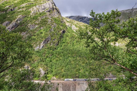 Dovrebanen train, Drivdalen valley, Oppdal municipality, Trøndelag county, Norway