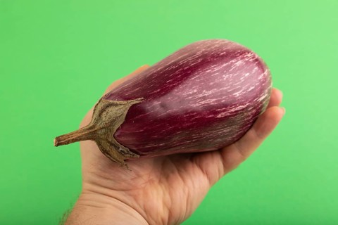 Hand holding Purple eggplant with white stripes on green pastel background. Top view, flat lay,