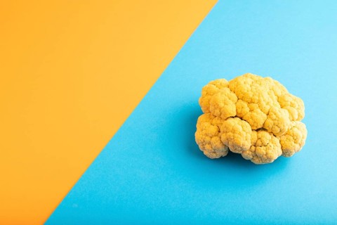 Yellow Cauliflower on blue and orange pastel paper background. Side view, copy space. healthy food,