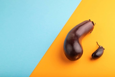 Two Eggplants big and small on blue and orange pastel paper background, side view, copy space,