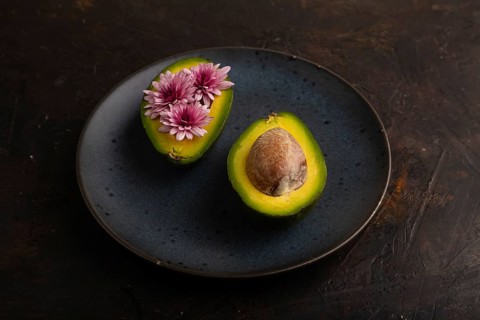 Two Avocado halves with pit and Chrysanthemums on blue plate on black concrete background, side