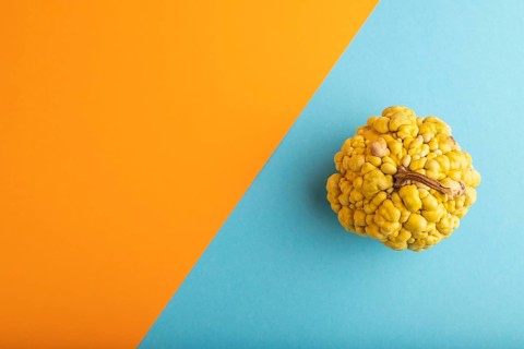 Decorative orange Pumpkin with tumors on blue and orange pastel paper background, top view, flat