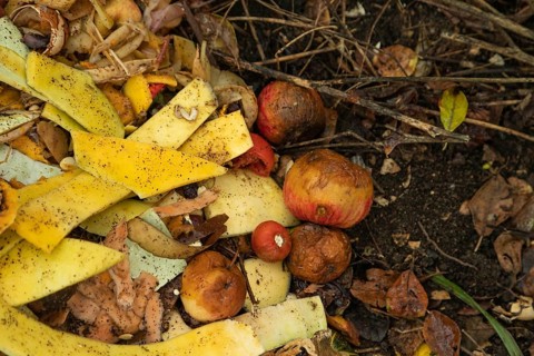 Compost pile made of organic food, leaves, vegetable and fruit Waste mix, Zero waste and Eco