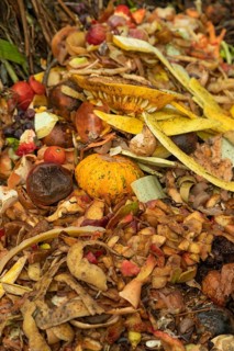 Compost pile made of organic food, leaves, vegetable and fruit Waste mix, Zero waste and Eco