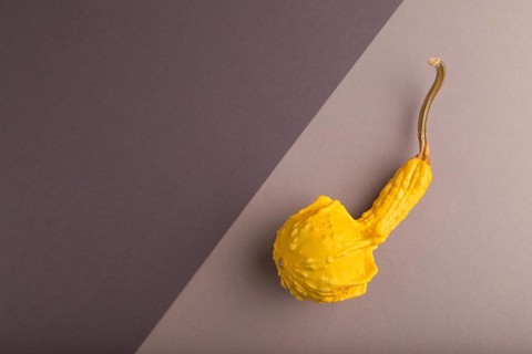 Decorative orange Pumpkin on beige and gray pastel paper background, top view, flat lay, copy