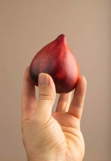 Red Heart shape tomatoes with hand on beige pastel paper background. Side view, copy space. healthy