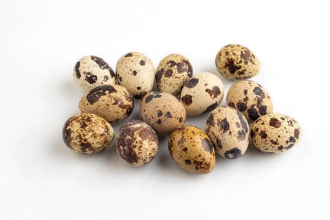 Pile of Raw Quail eggs isolated on white background. side view, close up