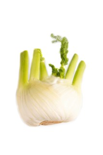 Fresh Fennel bulb isolated on white background, top view, flat lay, copy space, minimalism