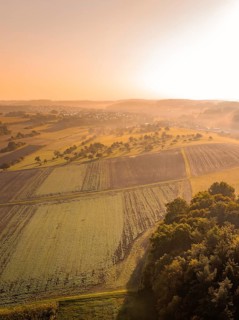 Luftaufnahme einer ländlichen Landschaft bei Sonnenaufgang und leichtem Nebel, Gechingen,