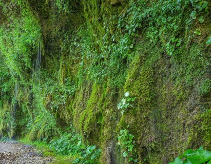 Naturschauspiel Rinnende Mauer am Steyr Fluss, Molln, Oberösterreich, Österreich