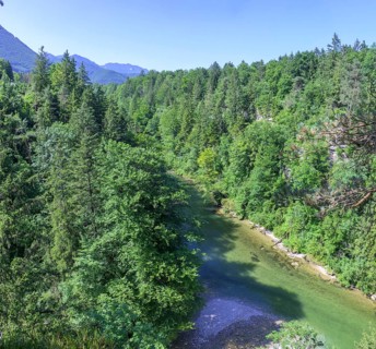 Schluchtenblick Steyr Fluss, Molln, Oberösterreich, Österreich