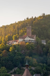 Eine Burg auf einem bewaldeten Hügel im Morgenlicht, umgeben von herbstlicher Natur, Bad