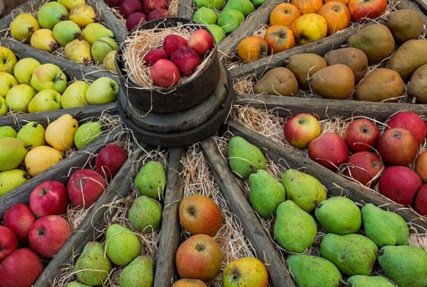 Äpfel und Birnen in einem alten Wagenrad, Münsterland, Nordrhein-Westfalen, Deutschland