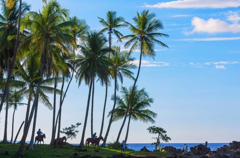 Horseback riding on beach, Drake Bay, Corcovado National Park, Osa Peninsula, Costa Rica
