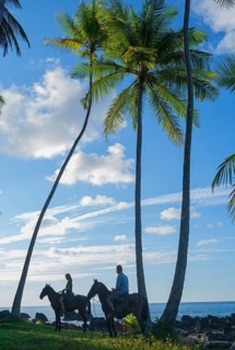 Horseback riding on beach, Drake Bay, Corcovado National Park, Osa Peninsula, Costa Rica