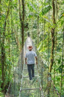 Man walkng on hanging bridge in rainforest, La Fortuna, Alajuela province, Costa Rica
