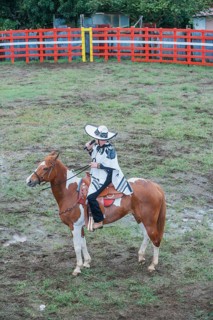 Rodeo, La Fortuna, Arenal, Costa Rica, Central America