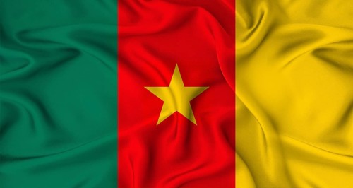 Realistic Cameroon flag waving. Close up of flag of Cameroon with cloth texture