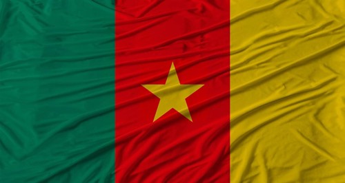 Cameroonian flag waving. Flag of Cameroon with cloth texture