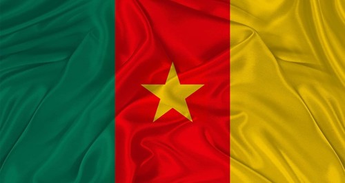 Flag of Cameroon with cloth texture. Close up of Cameroon flag waving
