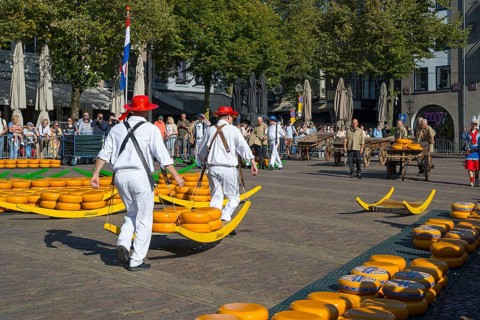 Männer in roten Hüten tragen Käseräder auf einem traditionellen Marktplatz mit vielen Besuchern,