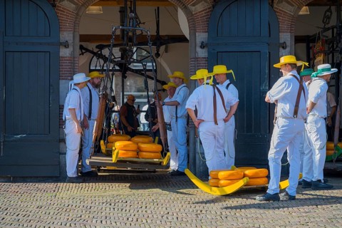 Männer mit gelben Hüten tragen Käse auf einem historischen Markt zur ehemaligen Stadtwaage, Käse