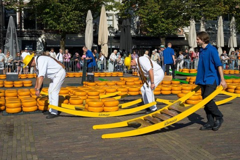 Männer mit Käse stehen auf einem sonnigen Platz umringt von Käse, Käseträger, Käse, Käsemarkt,