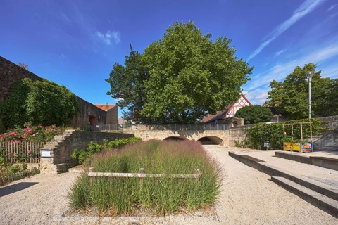 Altstadt, historische Stadtbefestigung, Stadtmauer, Burg, Gartenanlage, Bäume, Gewöhnliche Platane