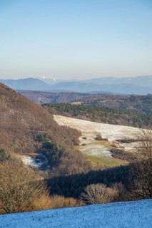 Typical valley with bushes, trees and meadows with the high tarta mountains in the background in