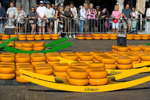 Cheese market in Alkmaar with famous yellow cheese wheels and crowd in the background, Cheese,