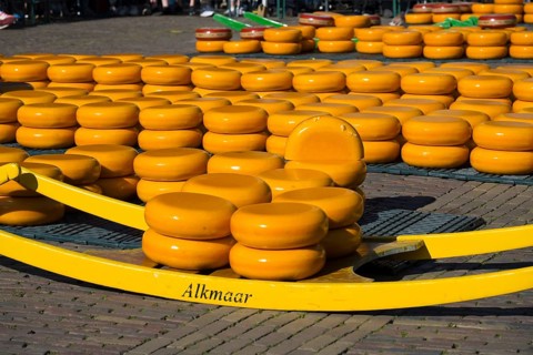 Stack of yellow cheese wheels on a market square in Alkmaar in sunny weather, cheese, cheese