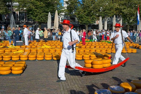 Men in traditional costumes transporting cheese at a market, cheese carrier, cheese, cheese market,